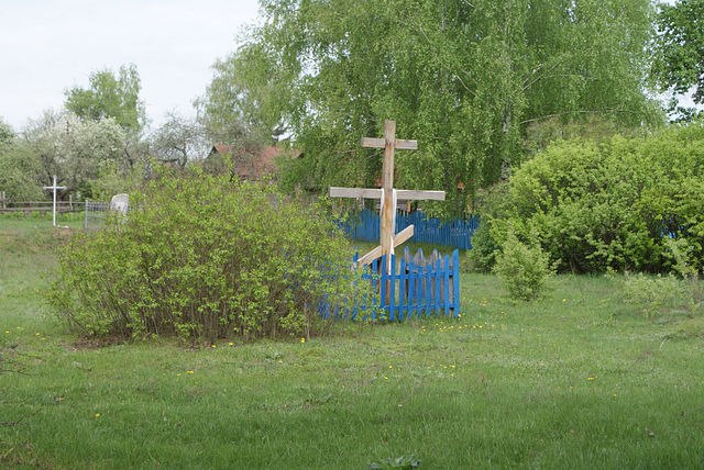 c_tarnavski8