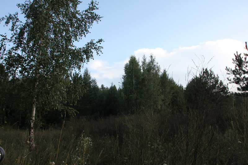 a_tkachenko00008