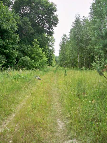 e_afanasenko00002