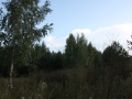 a_tkachenko00008