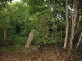 a_tkachenko00011