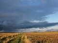 a_tkachenko00013