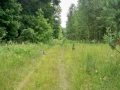 e_afanasenko00002