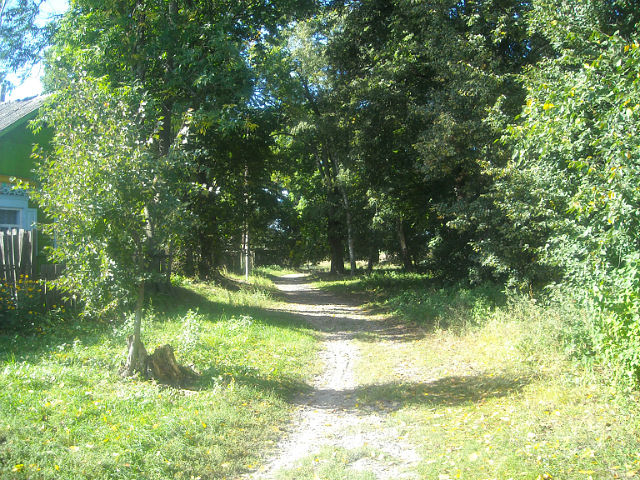 medvedevka5