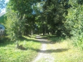 medvedevka5