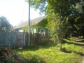 medvedevka6