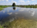 Река Снов. Фото И. Ящук