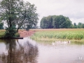 Река Снов. Фото Ю.Горлова