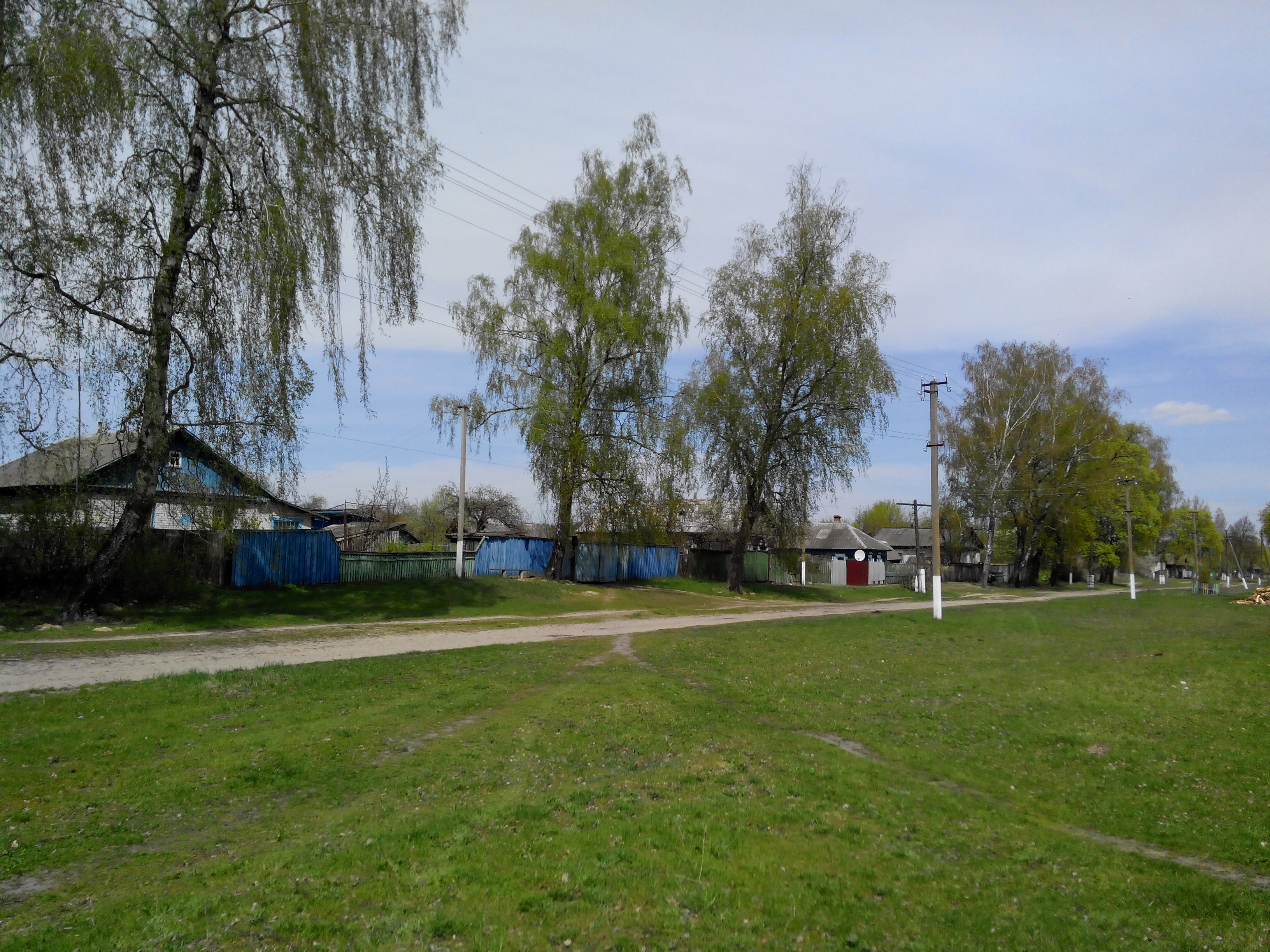 IMG_20140427_130504