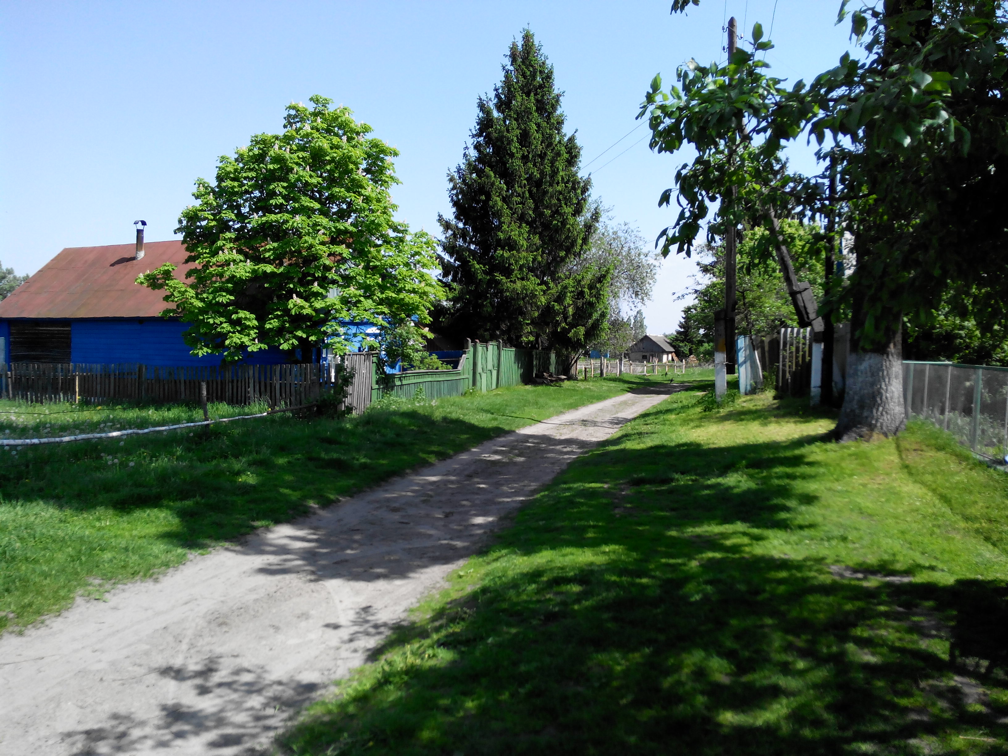 IMG_20140518_140646