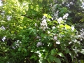 IMG_20140518_135645