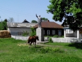 IMG_20140518_140215