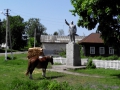 IMG_20140518_140229