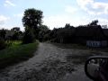 IMG_20140811_140632